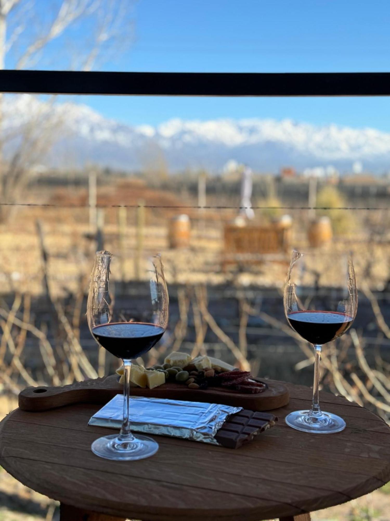 Alojamento de Turismo Selvagem La Vinita Wine *