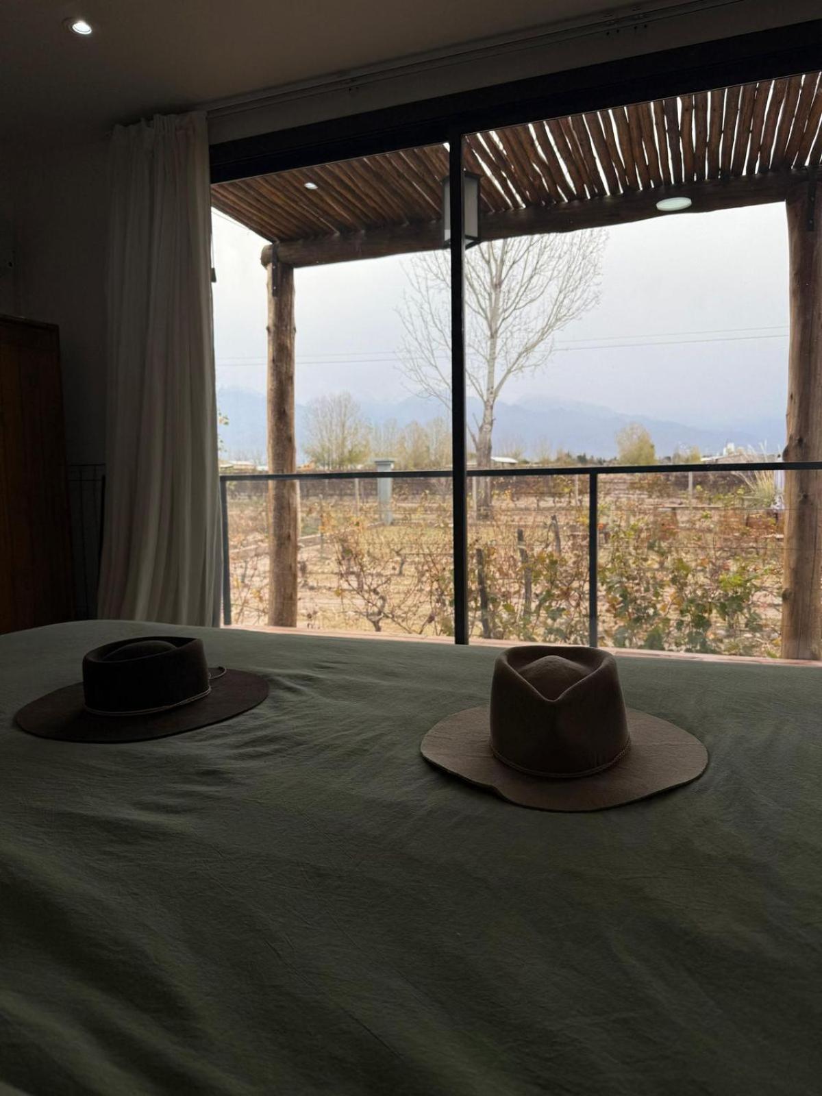 Lodge La Vinita Wine *