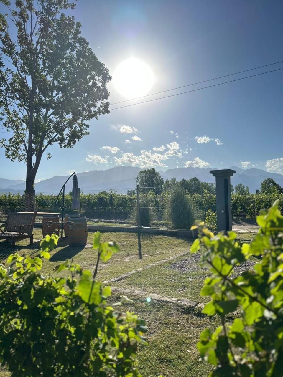 La Vinita Wine