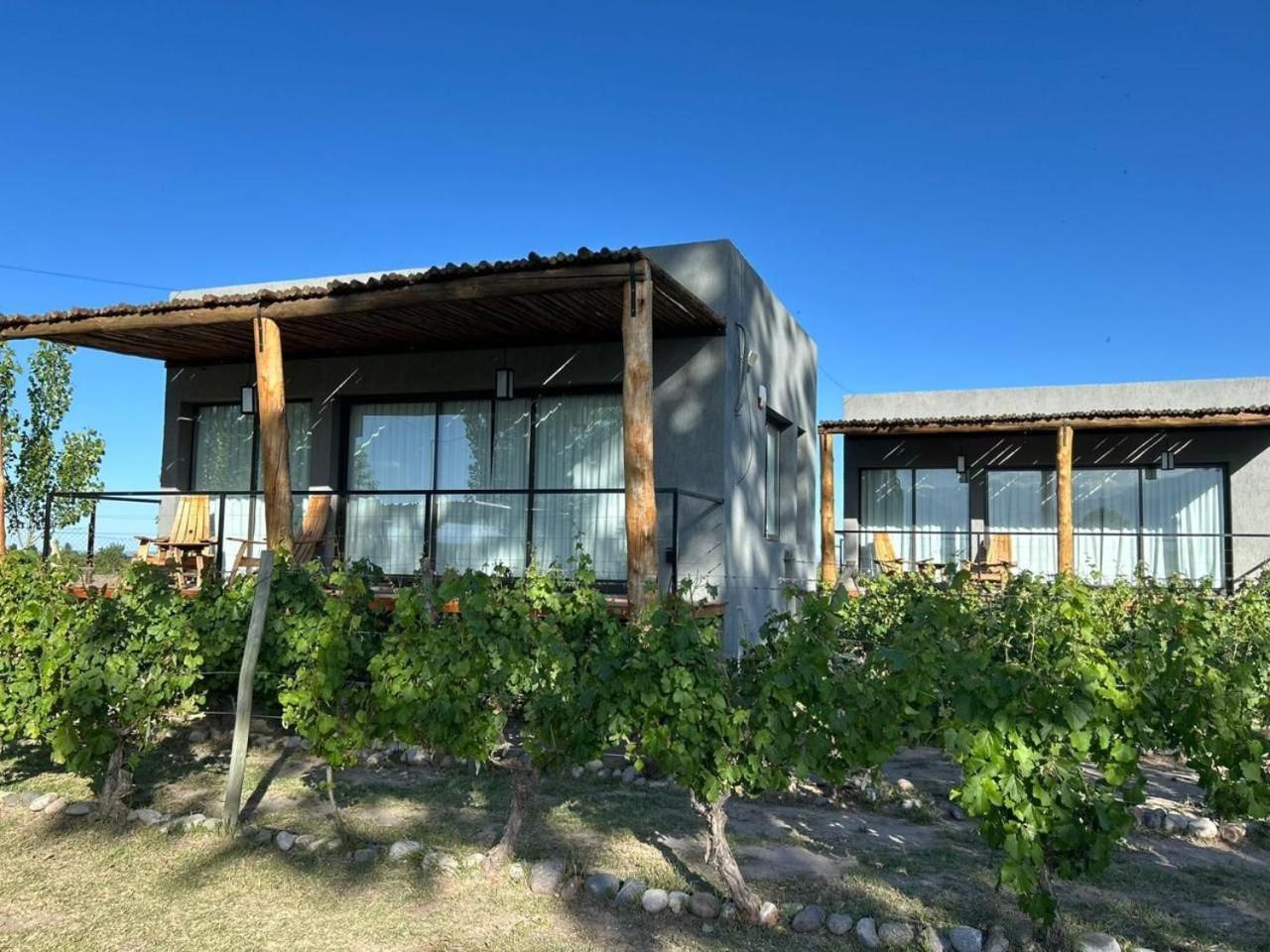 La Vinita Wine *