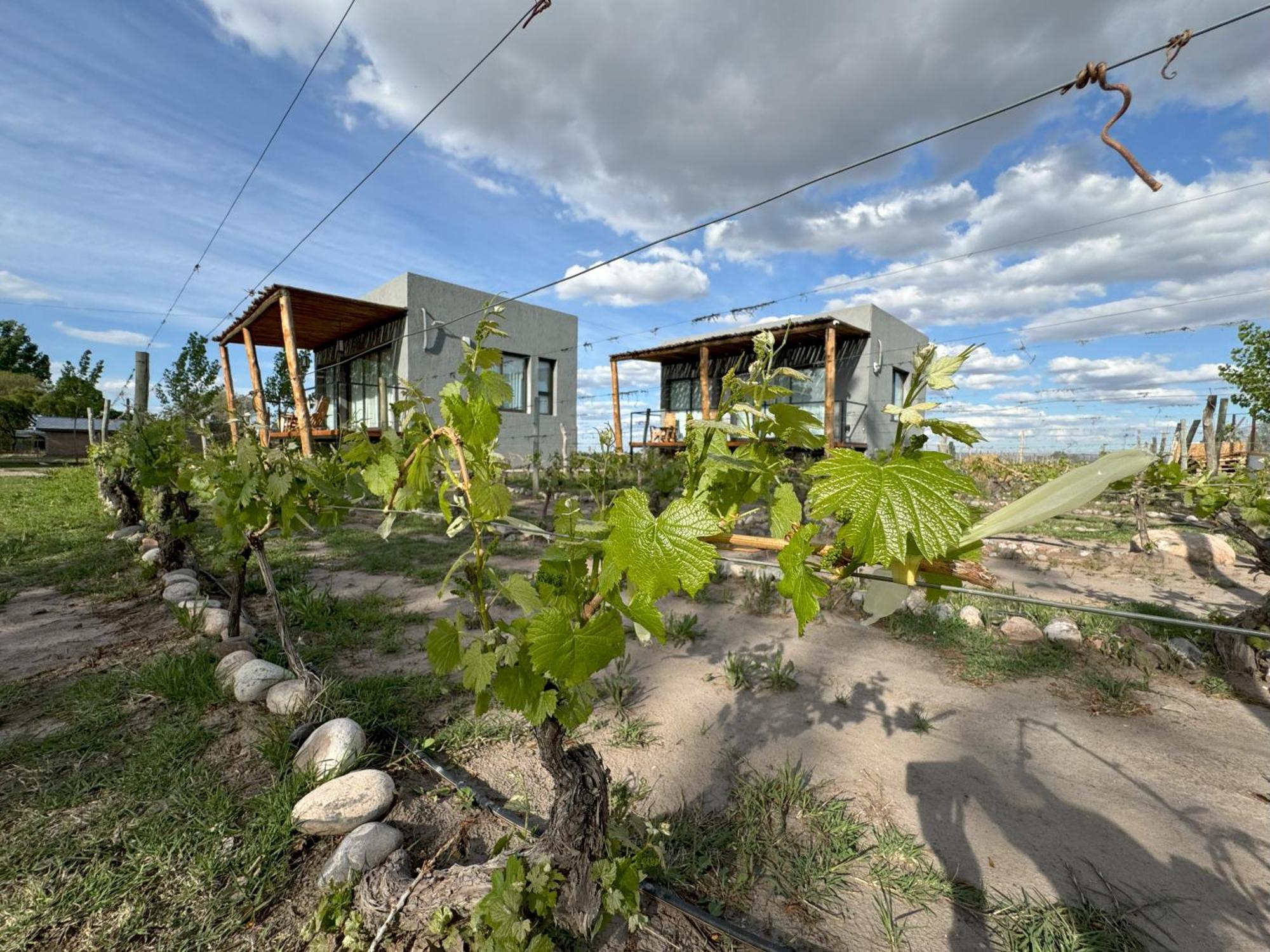 La Vinita Wine *